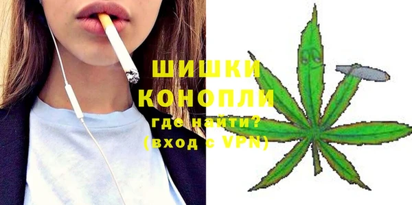 гашик Мегион