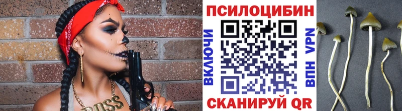 Псилоцибиновые грибы Psilocybe  Нижняя Тура 